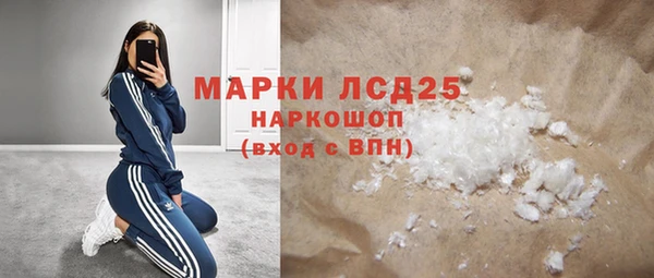 прущие грибы Богородицк