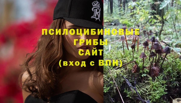 COCAINE Богородск