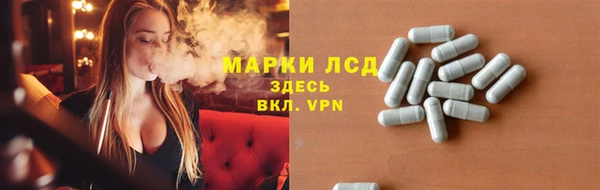прущие грибы Богородицк