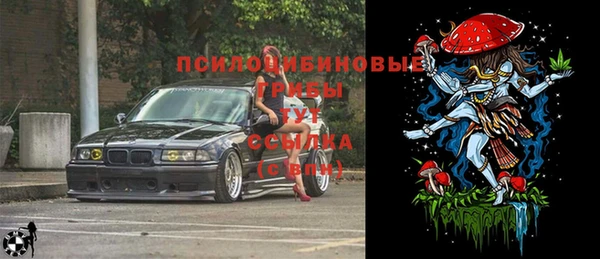 COCAINE Богородск