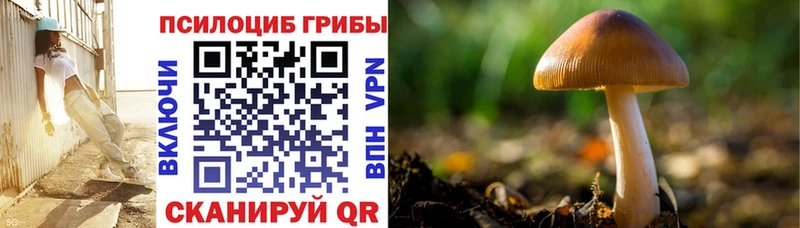 Галлюциногенные грибы мухоморы  Купить где  Фокино 